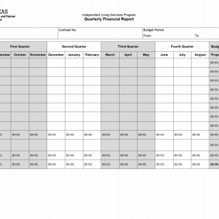TX HHS Form 3001. Independent Living Services Program Quarterly Financial Report