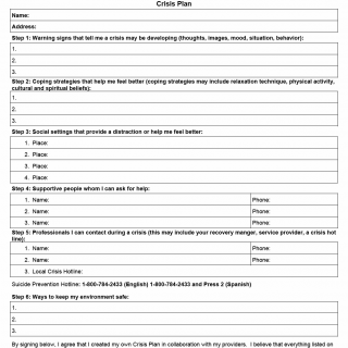 TX HHS Form 3005. Crisis Plan