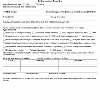 TX HHS Form 3007. Critical Incident Reporting TX HHS Form 3007. Critical Incident Reporting