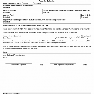 TX HHS Form 3022. Provider Selection