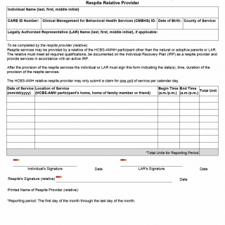 TX HHS Form 3024. Respite Relative Provider
