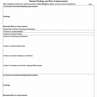 TX HHS Form 3040. Review Findings and Plan of Improvement