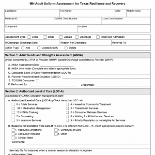 TX HHS Form 3041. MH Adult Uniform Assessment for Texas Resilience and Recovery