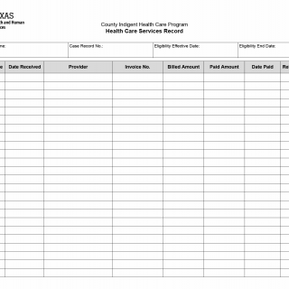 TX HHS Form 3069. Health Care Services Record