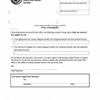 TX HHS Form 3082. Notice of Ineligibility