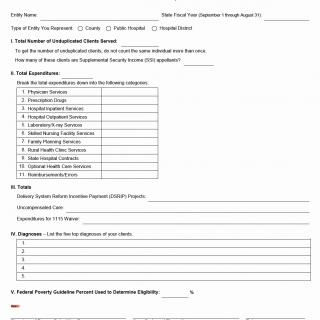 TX HHS Form 3086. End of Year Report