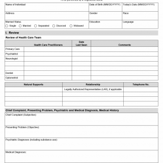 TX HHS Form 3091. HCBS-AMH Comprehensive Nursing Assessment