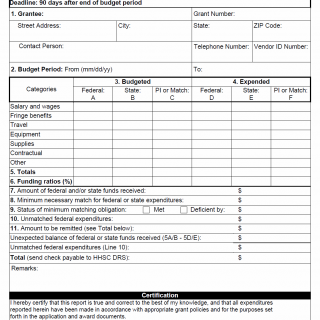 TX HHS Form 3159. Final Report of Expenditures