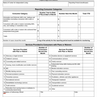 TX HHS Form 3161. Consumer Demographic Information