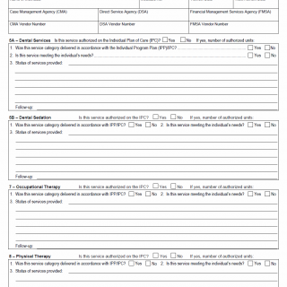 TX HHS Form 3595. IPP  Service Review