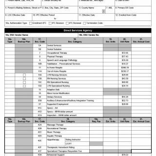 TX HHS Form 3621. CLASS or CFC Individual Plan of Care