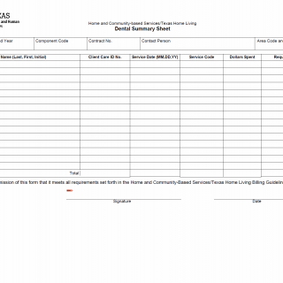 TX HHS Form 4116-Dental. Dental Summary Sheet