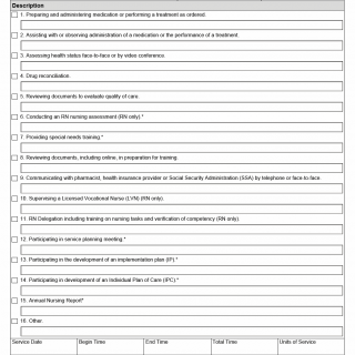 TX HHS Form 4123. Nurse Services Delivery Log - Billable Activities