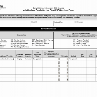 TX HHS Form 4207. Individualized Family Service Plan (IFSP) Services