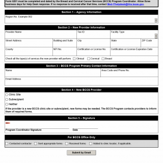 TX HHS Form 5201. Med-IT New Provider Request