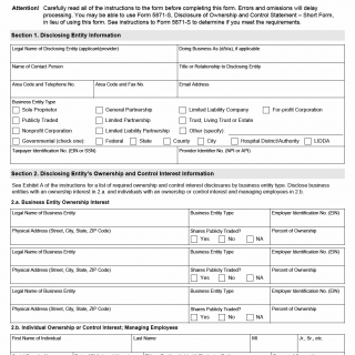 TX HHS Form 5871. Disclosure of Ownership and Control Statement
