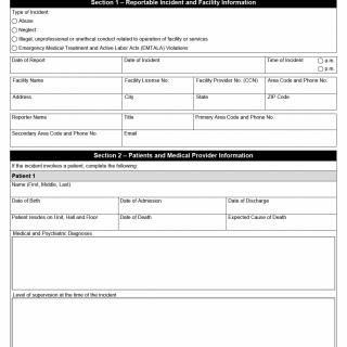TX HHS Form 6107. Psychiatric Hospital Incident Report