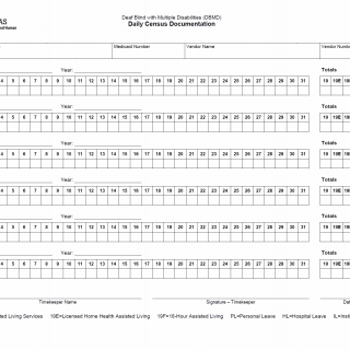 TX HHS Form 6505. Daily Census Documentation