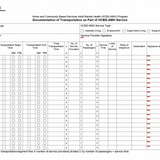 TX HHS Form 8003. Documentation of Transportation as Part of HCBS-AMH Service