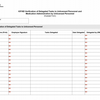 TX HHS Form 8010. ICF/IID Verification of Delegated Tasks to Unlicensed Personnel and Medication Administration by Unlicensed Personnel (Example Form)