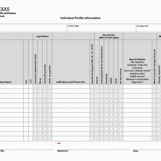 TX HHS Form 8576. Individual Profile Information
