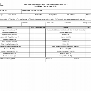 TX HHS Form 8582. TxHmL-CFC Individual Plan of Care