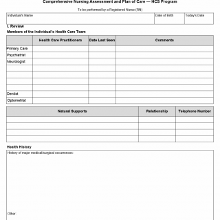TX HHS Form 8584-CDS. Comprehensive Nursing Assessment and Plan of Care — HCS Program