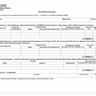 TX HHS Form 8598. Non-Waiver Services