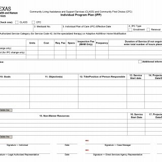 TX HHS Form 8606. Individual Program Plan (IPP)