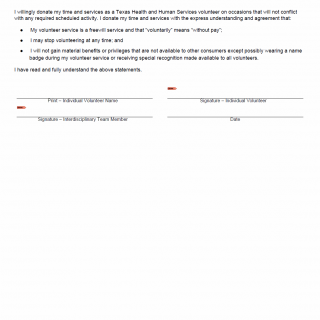 TX HHS Form 8667. Individual Volunteer Statement TX HHS Form 8667. Individual Volunteer Statement