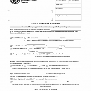 TX HHS Form H1017. Notice of Benefit Denial or Reduction TX HHS Form H1017. Notice of Benefit Denial or Reduction