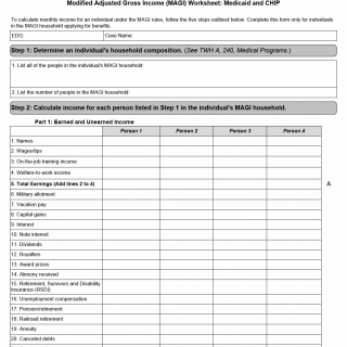 TX HHS Form H1042. Modified Adjusted Gross Income (MAGI) Worksheet TX HHS Form H1042. Modified Adjusted Gross Income (MAGI) Worksheet