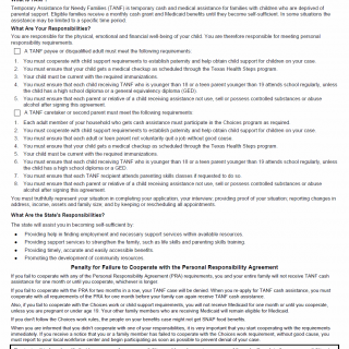 TX HHS Form H1073. Personal Responsibility Agreement TX HHS Form H1073. Personal Responsibility Agreement