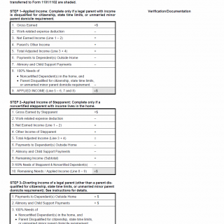 TX HHS Form H1100. Addendum Income Worksheet TX HHS Form H1100. Addendum Income Worksheet