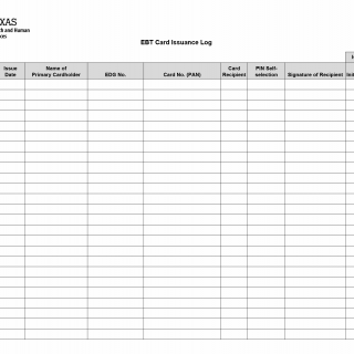 TX HHS Form H1173. EBT Card Issuance Log