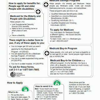 TX HHS Form H1200. Application for Assistance  Your Texas Benefits