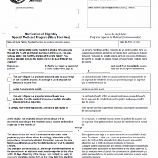 TX HHS Form H1207-A. Notification of Eligibility Special Medicaid Program (State Facilities) TX HHS Form H1207-A. Notification of Eligibility Special Medicaid Program (State Facilities)