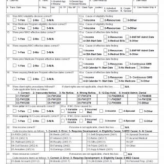 TX HHS Form H1217. Quality Assurance Monitoring System TX HHS Form H1217. Quality Assurance Monitoring System