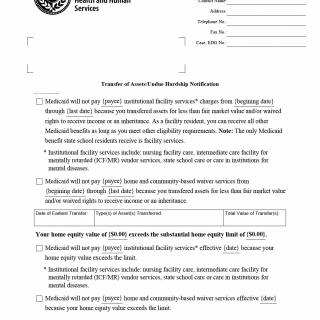 TX HHS Form H1226. Transfer of Assets/Undue Hardship Notification