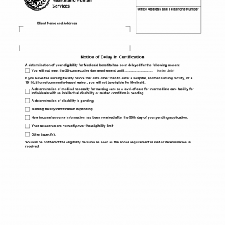 TX HHS Form H1247. Notice of Delay in Certification