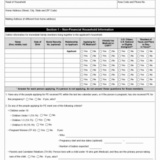 TX HHS Form H1265. Presumptive Eligibility (PE) Worksheet
