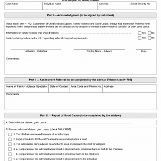 TX HHS Form H1713. Service Plan for Family Violence Option and Report of Good Cause