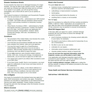 TX HHS Form H1988. Disaster Assistance Grants