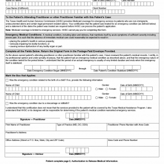 TX HHS Form H3038-P. CHIP Perinatal - Emergency Medical Services Certification