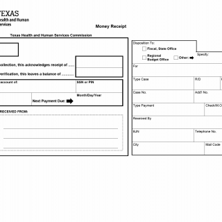 TX HHS Form H4100. Money Receipt