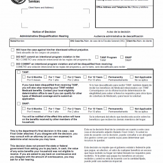 TX HHS Form H4857. Notice of Decision. Administrative Disqualification Hearing TX HHS Form H4857. Notice of Decision. Administrative Disqualification Hearing