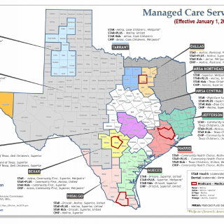 TX HHS Form 1024. Individual Status Summary TX HHS Form 1024. Individual Status Summary