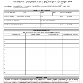 Form DL 2PA. Supplemental Driver's Licensing History (for CDL Applicants) - Virginia