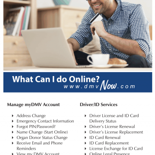 Form DMV 173. What Can I Do Online? - Virginia