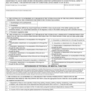 VA Form 10-0383. Catastrophically Disabled Veteran Evaluation and Approval